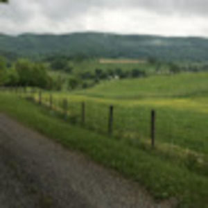 Meet your Posher, Kent